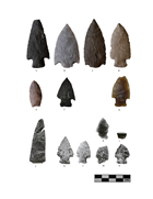 Barbed atlatl points from the Country Hills complex, which emerged in Alberta approximately 7,500 years ago. Source: Historical Resources Management Branch, Archaeological Survey