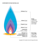 Both the energy and non-energy components of raw natural gas are shown in this diagram. Source: Courtesy of Canadian Centre for Energy
