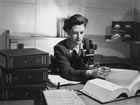 Geologist Diane Loranger examines core samples under a microscope in the basement of the Royalite office, Turner Valley, ca. 1946-1947. <br />Source: Glenbow Archives, IP-14a-1470