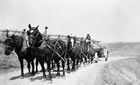 A team of horses hauls oil well supplies from Okotoks to Turner Valley, ca. 1917-1929. Supplies were often sent by rail to Okotoks and then by horse and wagon or truck to the plant site or the surrounding oil wells. <br />Source: Glenbow Archives, NA-1234-2