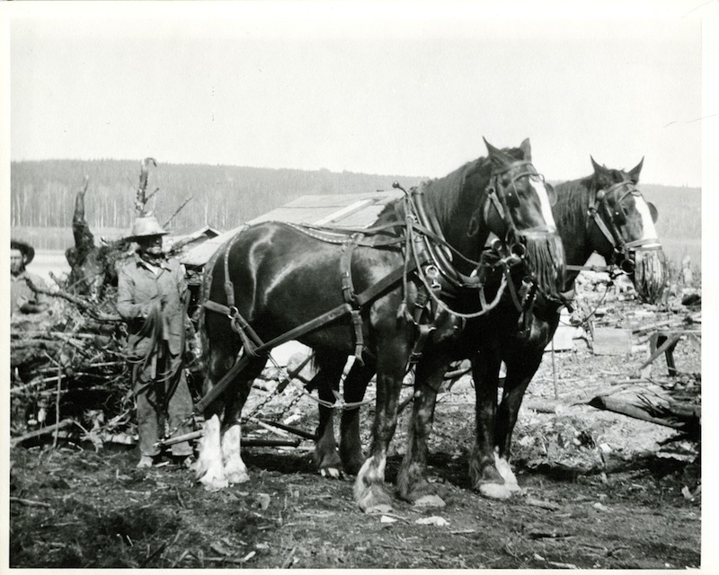 In the early days, clearing the land involved hard physical labour