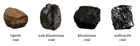 Industrial steam coal includes anthracite and bituminous grades, while domestic coal includes subbituminous and lignite grades.