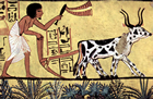 Plowing farmer from the tomb of Sennedjem, Egyptian hieroglyph, ca. 1200 BCE Source: Wikimedia Commons/Public Domain-Art