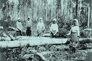 Ukrainian Women Cutting Logs, Athabasca, ca. 1930