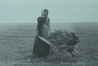 Ada McColl collecting buffalo chips near Lakin, Kansas, 1892