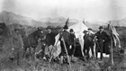 Dam survey camp near Cochrane, 1907 Source: Glenbow Archives, NA-1115-4