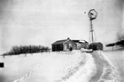 Water pump windmill at Dalheim farm, Edgerton, Alberta, n.d. Source: Glenbow Archives, NA-4165-1.