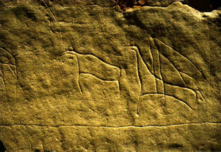 Petroglyph of a mounted hunter chasing a bison, Milk River<br/>Source: Royal Alberta Museum