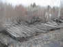 Collapsed roof of sawmill building, Alberta Government Oil Sands Project, 2001<br/>Source: Historic Resources Management, 01-D0001-25-1 Sawmill Shed