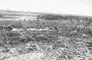 Clearing the site, Alberta Government Oil Sands Project, ca. 1945<br/>Source: Clark, K.A. "Report on Trip to Bitumount during July, 1945." Unpublished manuscript, July 1945, 14.