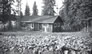 Garden at Fitzsimmons’s house, International Bitumen Company camp, n.d<br/>Source: Provincial Archives of Alberta, PR1971.0356.193d