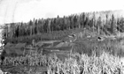 The Clearwater River plant, ca. 1929<br/>Source: University of Alberta Archives, 77-46-37