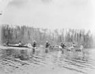 Geological Survey of Canada party travelling by canoe, 1901; the staff of the Geological Survey of Canada travelled by any means necessary to accomplish their surveys. <br />Source: Library and Archives Canada/PA-040035
