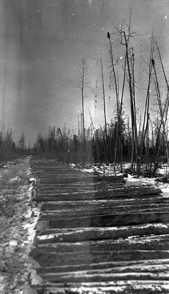 Corduroy roads formed of logs laid across boggy sections made for a bumpy ride, but at least you didn't get stuck! This road is near Bitumount, n.d.