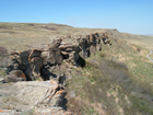 Head-Smashed-In Buffalo Jump Source: Wikimedia Commons/CC-BY-SA