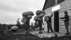 Packing freight at God’s Lake, Manitoba, ca. 1906-1909<br/>Source: Glenbow Archives, NB-40-51