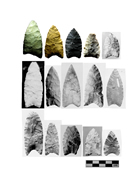 Spear points from the Clovis phase, which spread to present-day Alberta roughly 11,000 years ago.  These sharp, heavy spear points were ideal for hunting Pleistocene megafauna like mastodons and mammoths. Source: Historical Resources Management Branch, Archaeological Survey