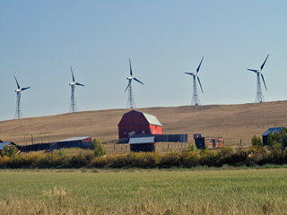 Five of the turbines installed at Cowley Ridge Wind Farm<br/>Source: Photo courtesy of TransAlta