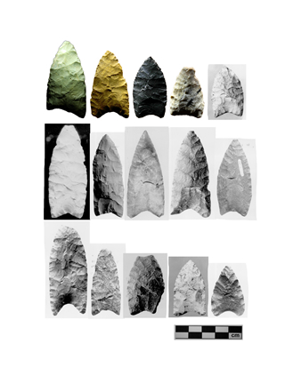Spear points from the Clovis phase found in present-day Alberta.<br/>Source: Historical Resources Management Branch, Archaeological Survey