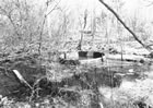 Seneca Oil Spring, ca. 1930. In 1627, Father Joseph de la Roche was led to this oil spring by members of the Tionnati Tribe. It is the first recorded instance of oil in North America.