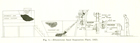 Diagram of Karl Clark’s first model oil sands separation plant, 1923. Source: University of Alberta Library, <em>The Bituminous Sands of Alberta</em>, Part II, p. 9