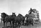 In the absence of pipelines, oil is hauled in barrels from Turner Valley, ca. 1924-1929. <br />Source: Glenbow Archives, S-17-17