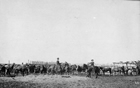Cow girls corralling horses on a ranch, ca. 1930s Source: Library and Archives Canada/PA-020580