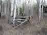 Barge, International Bitumen Company site, 2001<br/>Source: Historic Resources Management, 01-D0001-10 Boat