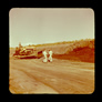 Operating a bulldozer in the Alberta Government Oil Sands Project quarry, 1950<br/>Source: University of Alberta Archives, 91-137-094