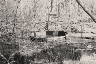 Seneca Oil Spring