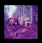 Geotechnical mapping of the oil sands, 1950s. Source: University of Alberta Archives, 91-137-15