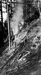 Absher’s Camp, 1930. Source: Provincial Archives of Alberta, A3544
