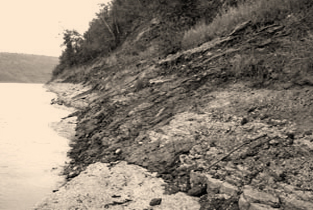 Bitumen seeping from limestone banks